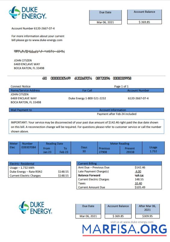 Realistic USA North Carolina Duke Energy utility bill template in Word and PDF format